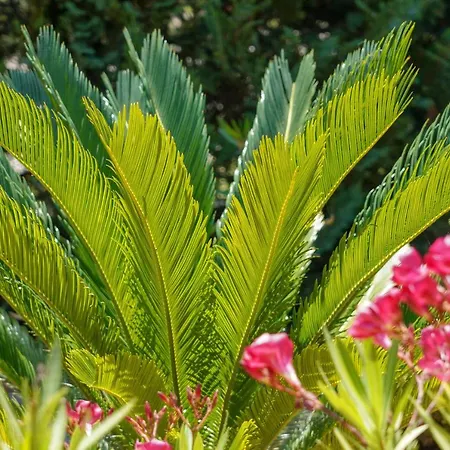 Διαμέρισμα Marika *