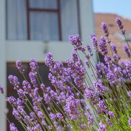 Marika Διαμέρισμα Szántód