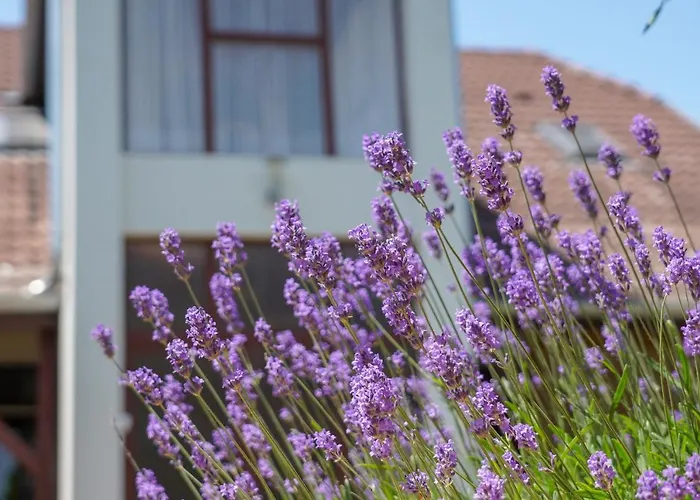 Marika Appartamento Szántód